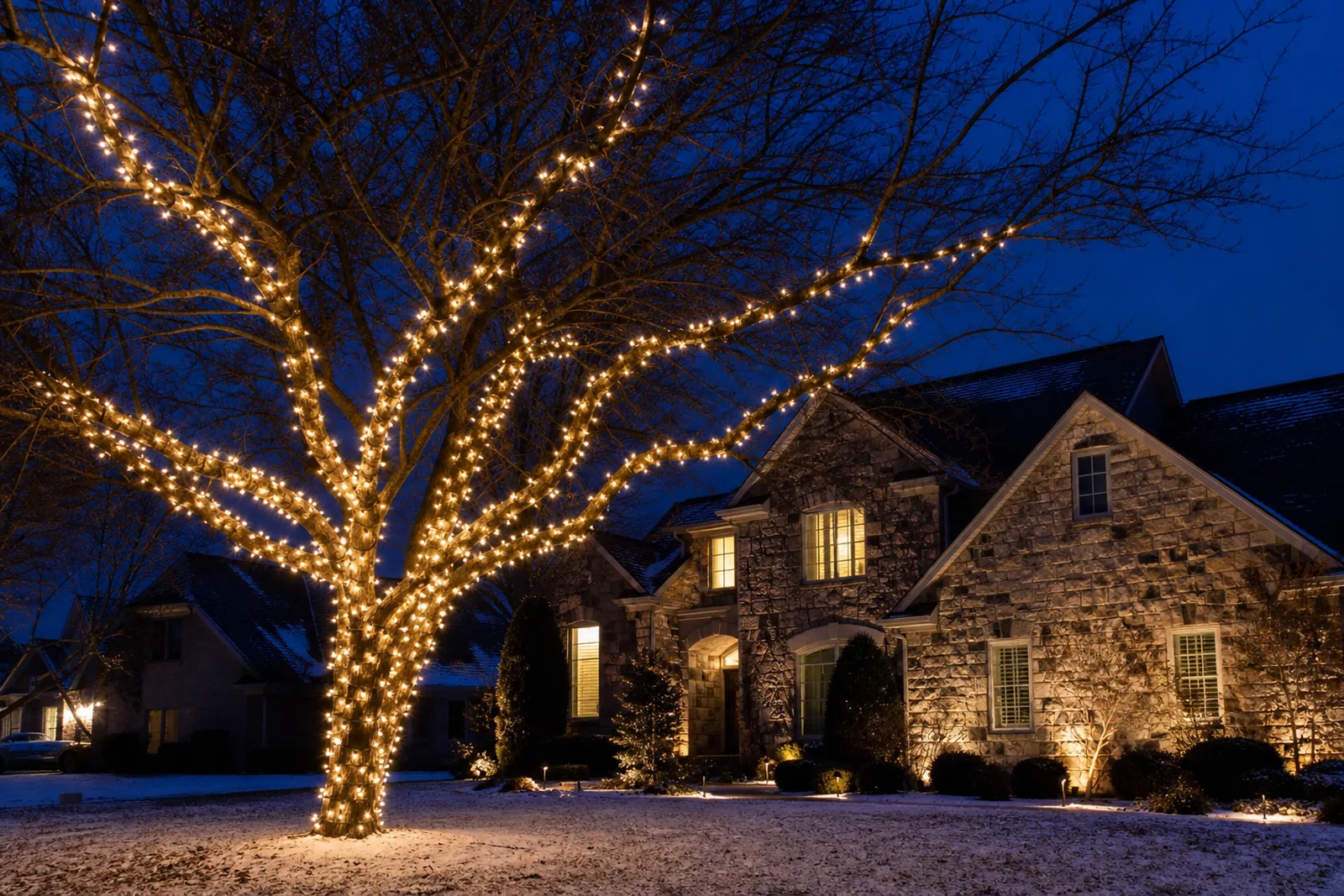 Front-yard tree at a Short Hills NJ home wrapped in warm white lights along the trunk and main limbs, with lighter coverage toward the outer branches