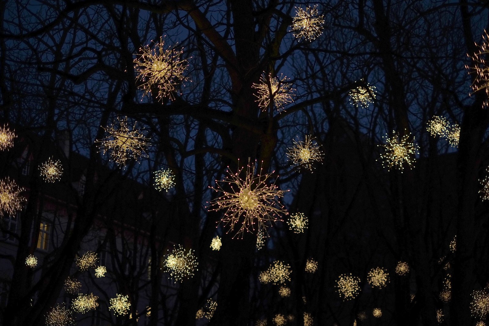 Glowing starburst light spheres hanging in bare trees against a deep blue evening sky