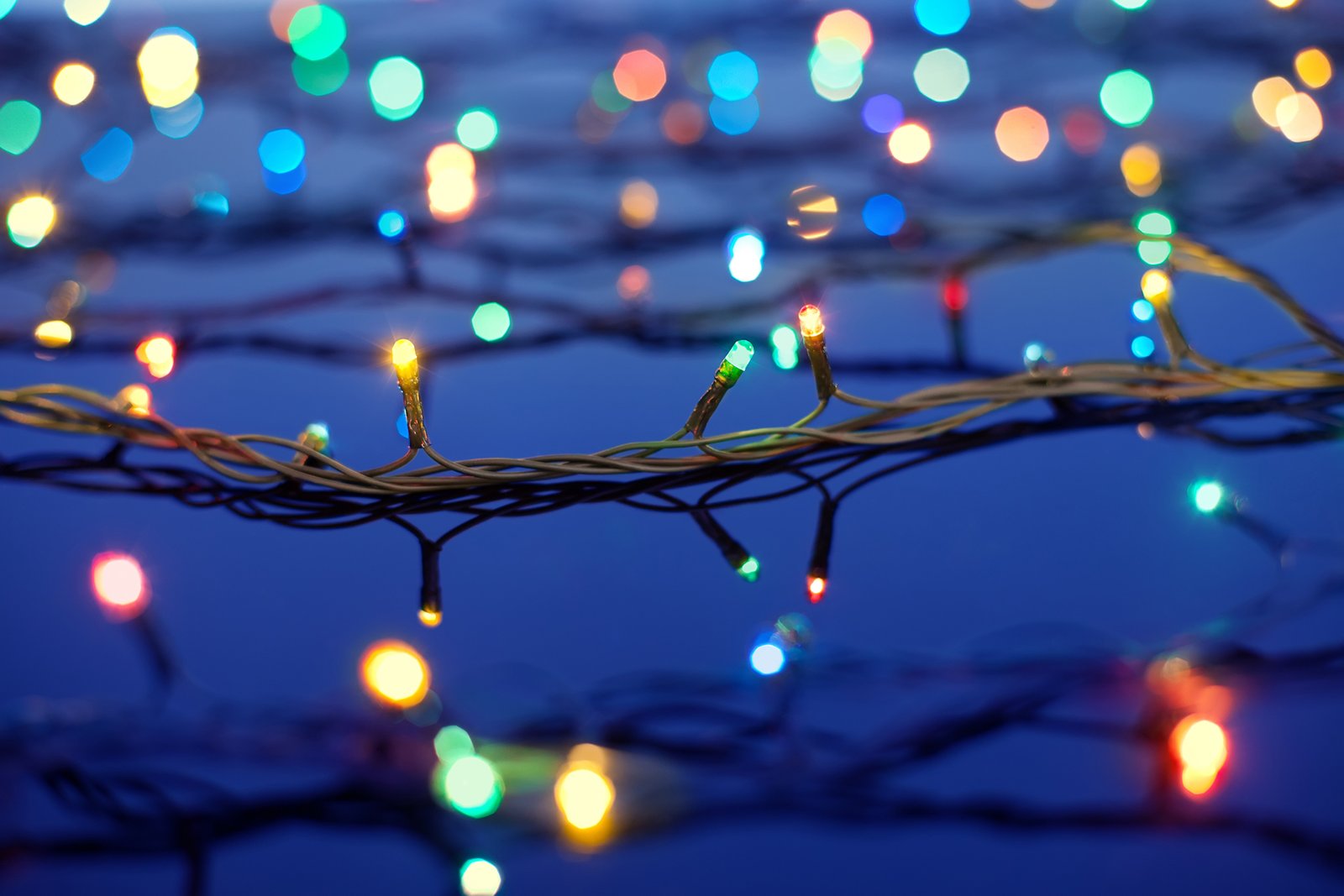 Close-up of multicolor LED Christmas string lights glowing at dusk