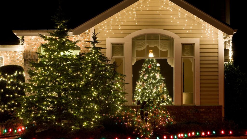 Bringing Joy to Your Neighborhood: The Impact of Professionally Installed Christmas Lights